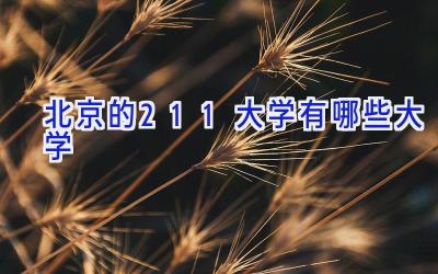 北京的211大学有哪些大学