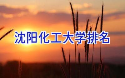 沈阳化工大学排名