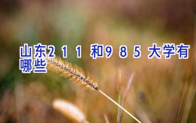 山东211和985大学有哪些
