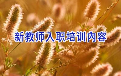 新教师入职培训内容