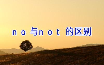 no与not的区别