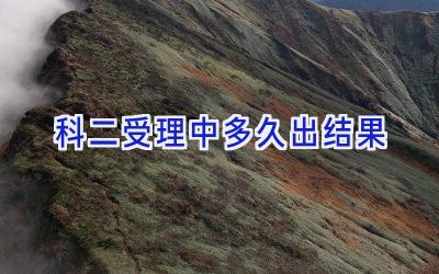 科二受理中多久出结果