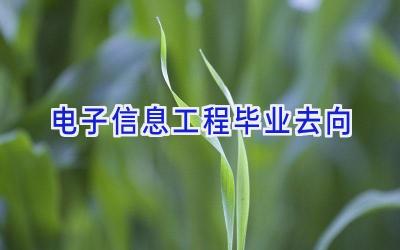 电子信息工程毕业去向