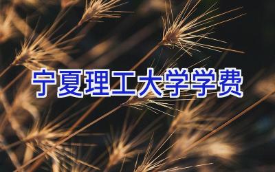宁夏理工大学学费