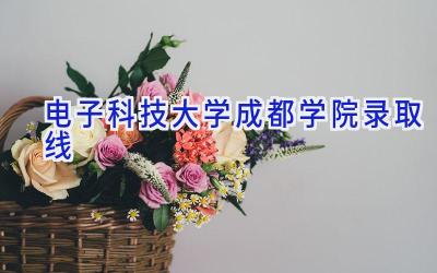 电子科技大学成都学院录取线