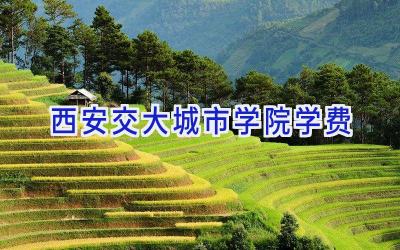 西安交大城市学院学费
