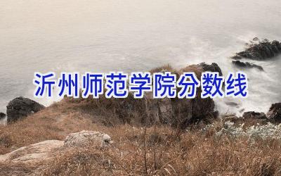 沂州师范学院分数线