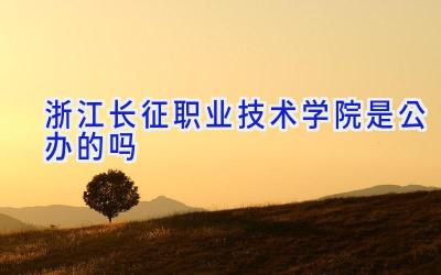 浙江长征职业技术学院是公办的吗