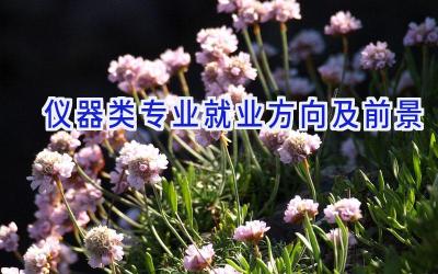 仪器类专业就业方向及前景