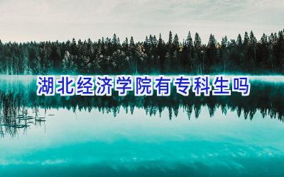 湖北经济学院有专科生吗