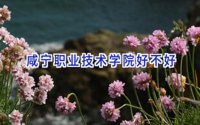 咸宁职业技术学院好不好