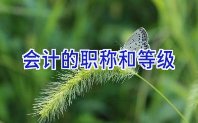 会计的职称和等级