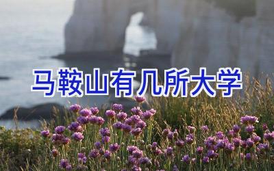 马鞍山有几所大学