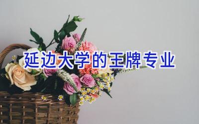 延边大学的王牌专业