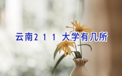 云南211大学有几所