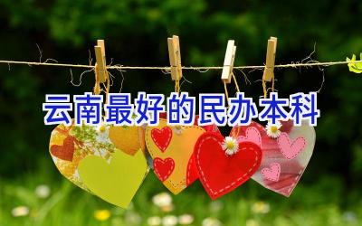 云南最好的民办本科