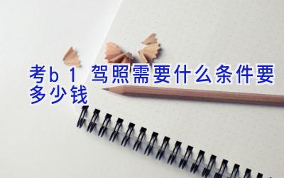 考b1驾照需要什么条件要多少钱