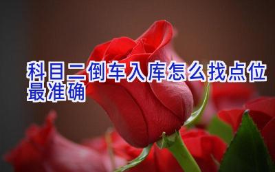 科目二倒车入库怎么找点位最准确