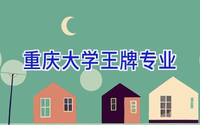 重庆大学王牌专业