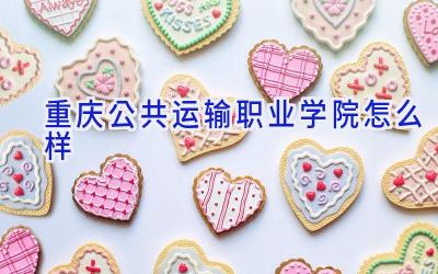 重庆公共运输职业学院怎么样
