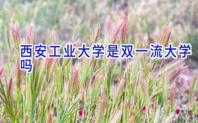 西安工业大学是双一流大学吗