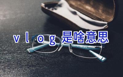 vlog是啥意思