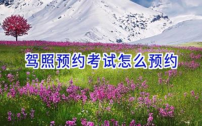 驾照预约考试怎么预约