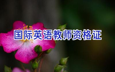 国际英语教师资格证