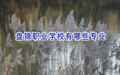 盘锦职业学校有哪些专业