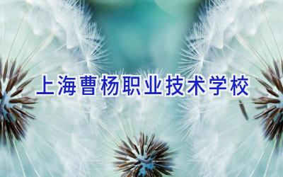 上海曹杨职业技术学校