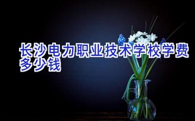 长沙电力职业技术学校学费多少钱