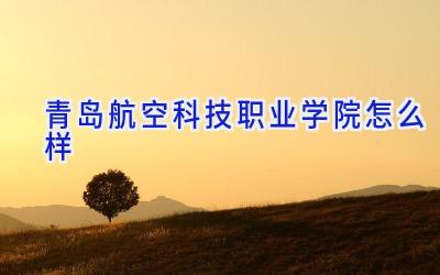 青岛航空科技职业学院怎么样