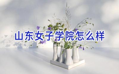山东女子学院怎么样