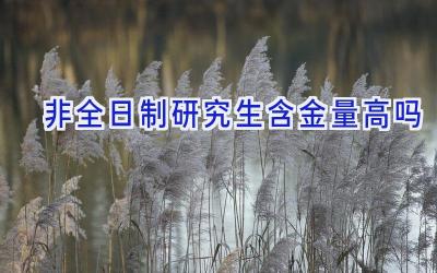 非全日制研究生含金量高吗