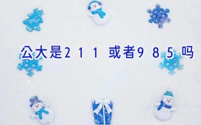 公大是211或者985吗