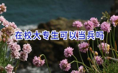 在校大专生可以当兵吗