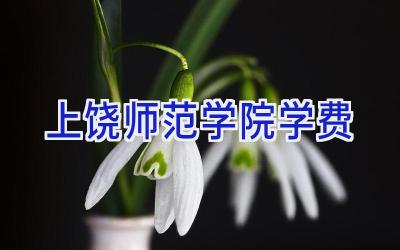 上饶师范学院学费