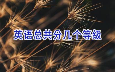 英语总共分几个等级