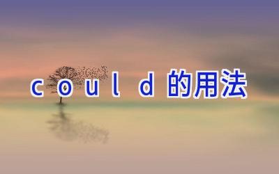could的用法