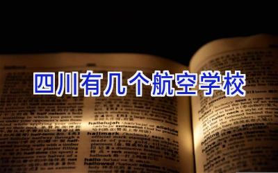 四川有几个航空学校