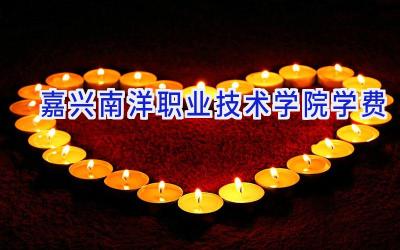 嘉兴南洋职业技术学院学费