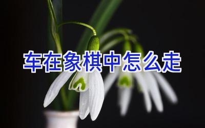 车在象棋中怎么走