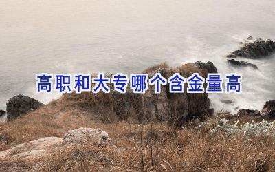 高职和大专哪个含金量高
