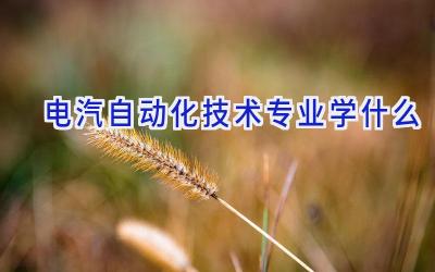 电汽自动化技术专业学什么