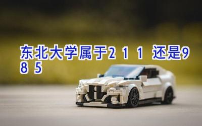 东北大学属于211还是985