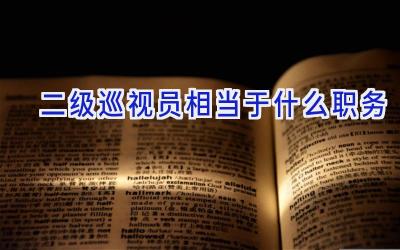 二级巡视员相当于什么职务