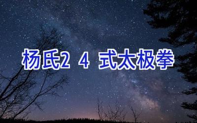 杨氏24式太极拳