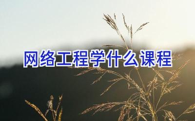 网络工程学什么课程