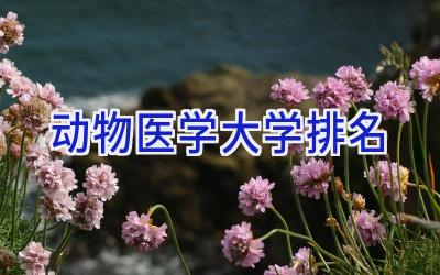 动物医学大学排名