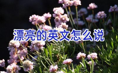 漂亮的英文怎么说